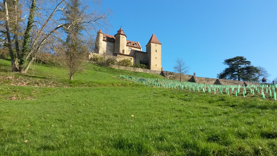Chateau d'Arricau-Bordes